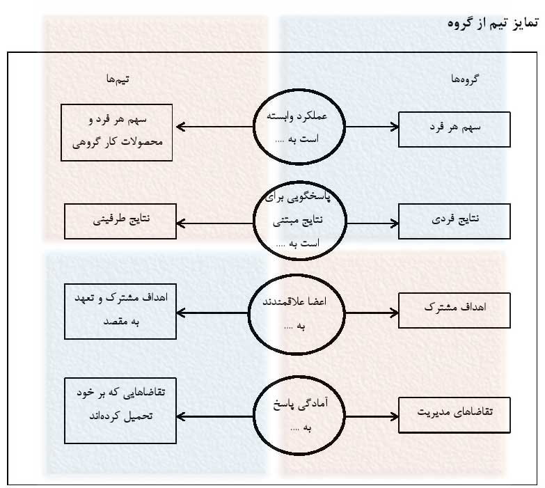 تمایز گروه و تیم